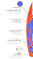 points_forts_EN_01.png
