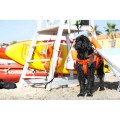 Deska ratownicza SUP Partol 11 SAFE - Deski SUP - Obraz nr7