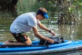 starboard-thewall-8.jpg