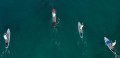 deska-sup-sic-maui-okeanos-air-glide-11-pl-1.jpg