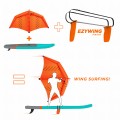 EZYWING-PACKdetails.jpg