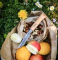 Nóż-Opinel-adventurel-No.-08.webp