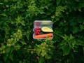SIGG-pudełko-na-żywność-launchbox-Plus-S-alu-3.jpg
