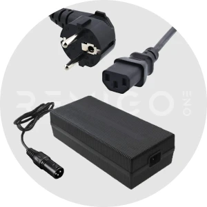Szybka ładowarka do silnika elektrycznego RemigoOne