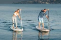 SUP_Classic_Allround_7__6.webp