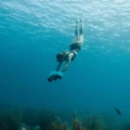 281024014 (7).webp