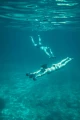 seascooteraction3_500x.webp