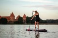 Deska SUP WildSup Royal Panda 11'3 11.3 - Deski SUP Allround (uniwersalne) - Obraz nr3